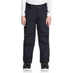Quiksilver Porter Youth Pant - Youth By Quiksilver