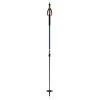 Fischer BC Vario Ski Poles By Fischer