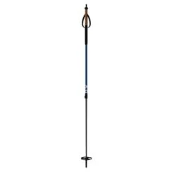 Fischer BC Vario Ski Poles By Fischer