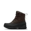 The North Face Chilkat V Lace WP Boot - Men's By The North Face