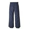 Patagonia Snowshot Pant - Boy's By Patagonia
