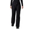 Columbia Bugaboo Omni-Heat Pant - Women's By Columbia