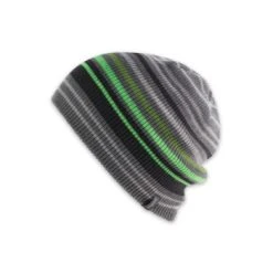 Pistil Gordy Slouch Beanie By Pistil