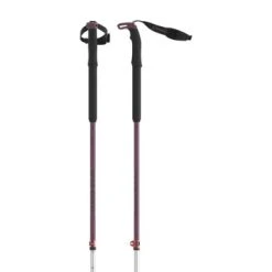 Atomic BCT Touring SQS W Ski Poles - Women's By Atomic