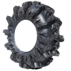 Interco Black Mamba Tires